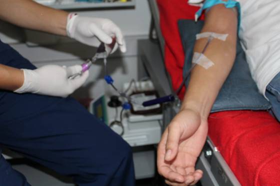 A partir de los 16 años los menores de edad pueden donar sangre