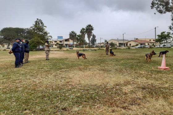 Supervisaron las tareas de adiestramiento que realizan en la División Canes de la Policía