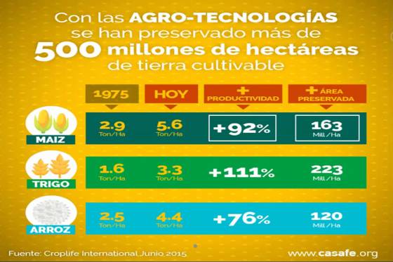 Educación brinda capacitaciones sobre producción agropecuaria