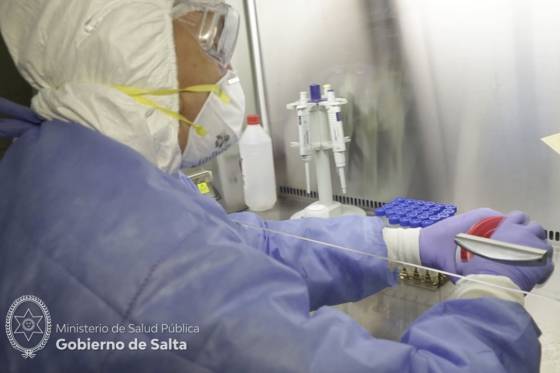 Coronavirus: no se registran nuevos casos positivos en Salta