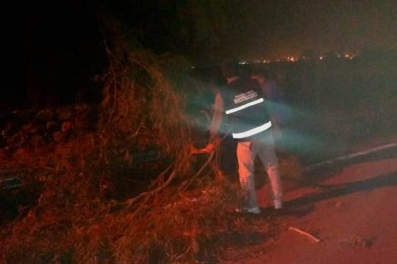 Seguridad asistió en los valles calchaquíes tras el temporal de fuertes vientos