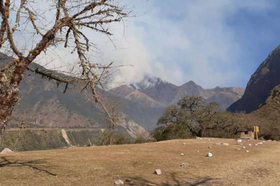 Defensa Civil coordina acciones para combatir un incendio forestal en Orán