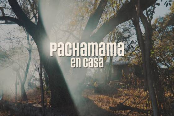 La Secretaría de Cultura estrena la miniserie PACHAMAMA 2020