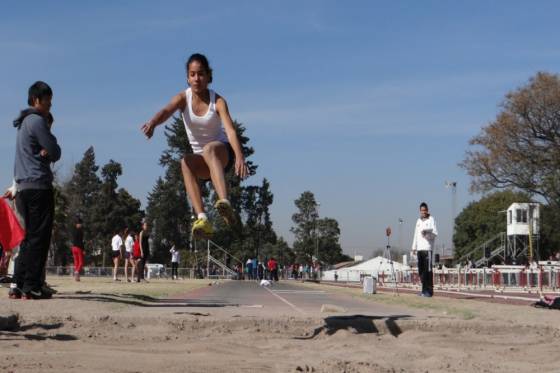 Deportistas salteños accederán al programa Doble Carrera