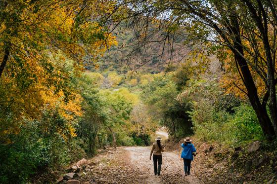 Turismo invita a descubrir Salta paso a paso