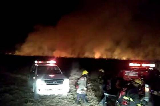 Intenso trabajo de seguridad en la sofocación de incendios de pastizales