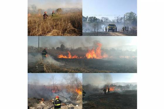 Defensa Civil realizó ayer más de 50 intervenciones por incendios forestales