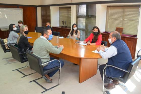 Políticas públicas tendientes a brindar asistencia activa ante situaciones de violencia familiar y de género