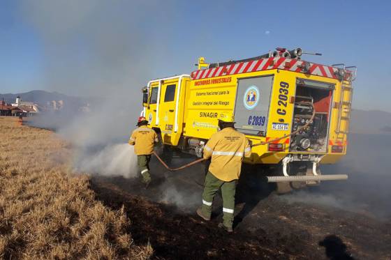 Defensa Civil intervino en más de 250 incendios forestales en agosto