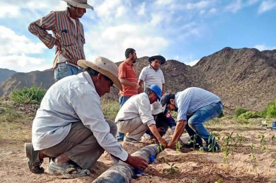 Analizaron diversos proyectos productivos para áreas rurales de la Provincia