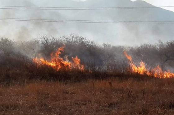 Guardaparques y Bomberos sofocaron incendios en Finca Las Costas