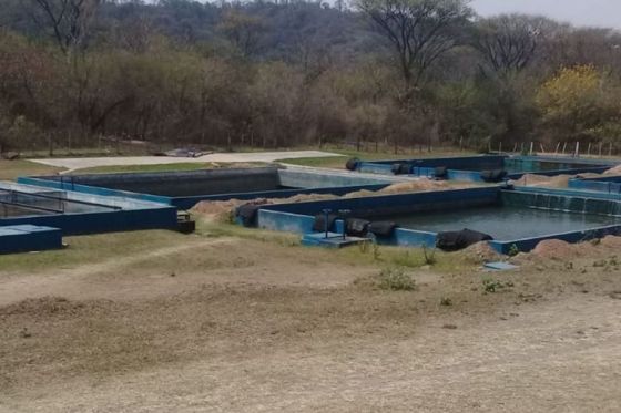 Mejorará el servicio de agua potable en la ciudad de Metán