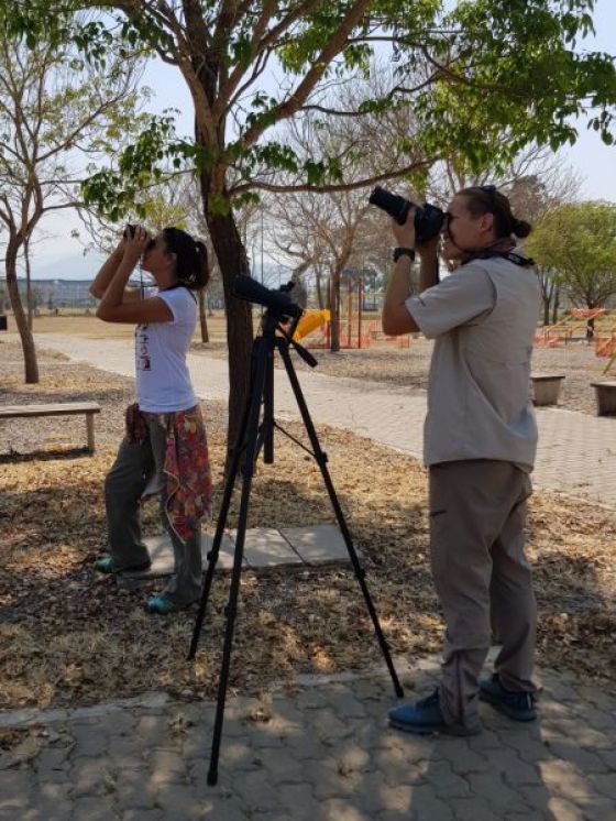 Salta se destacó en el Gran Día de observación de aves