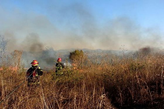 Hubo más de 620 intervenciones por incendios forestales en la Provincia