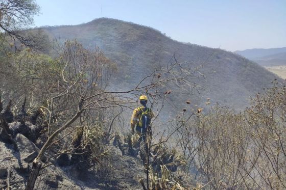 Continúan los trabajos para sofocar incendios forestales en la zona norte de la Capital