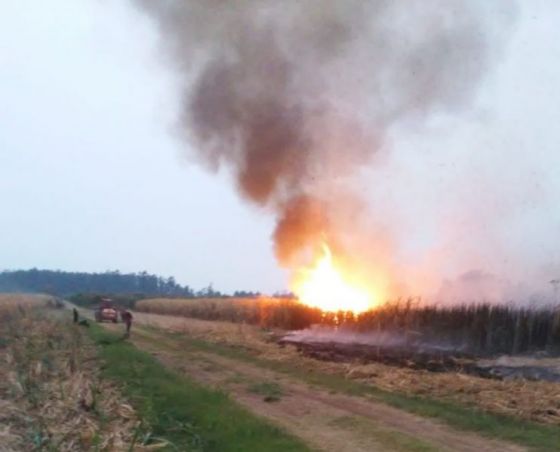 Decenas de operativos por incendios forestales en el norte provincial se realizaron el fin de semana