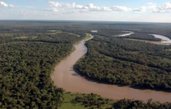 Se investiga la posible mortandad de peces en el río Bermejo