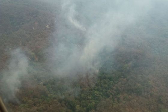 Se sobrevoló la zona de incendios forestales en el norte provincial