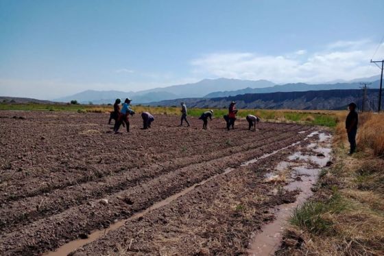 Ruta 40: un plan estratégico hacia el progreso