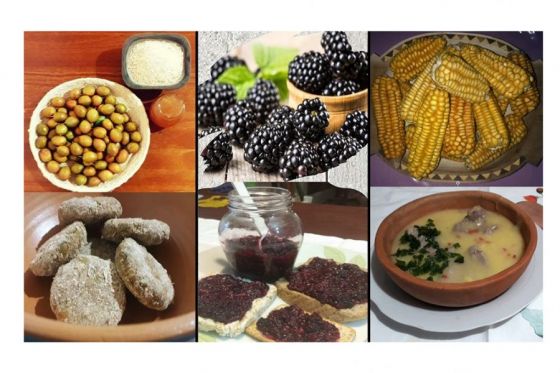 Exquisitas recetas autóctonas ganan el concurso sobre nutrición