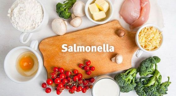 Pautas de cuidado para prevenir la infección por salmonella