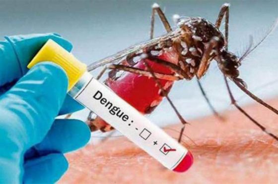 El Gobierno informa dos casos probables de dengue en la provincia