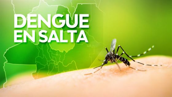 Se confirmaron los primeros dos casos de dengue en Salta