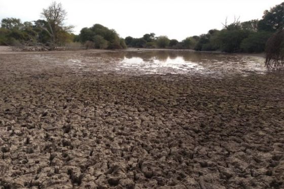 Nación decretó la emergencia agropecuaria para el departamento de Rivadavia y parte de San Martín