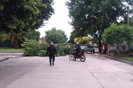 Seguridad realizó tareas de asistencia tras el temporal en la provincia