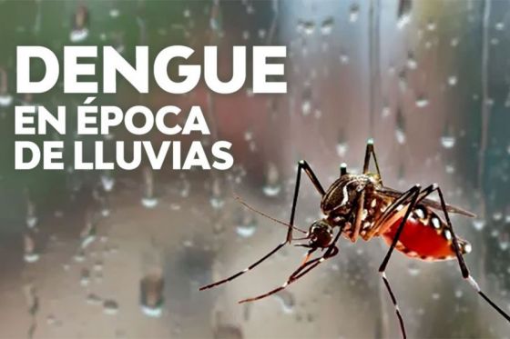 Pautas para prevenir el dengue, zika y chikungunya durante el periodo de lluvias