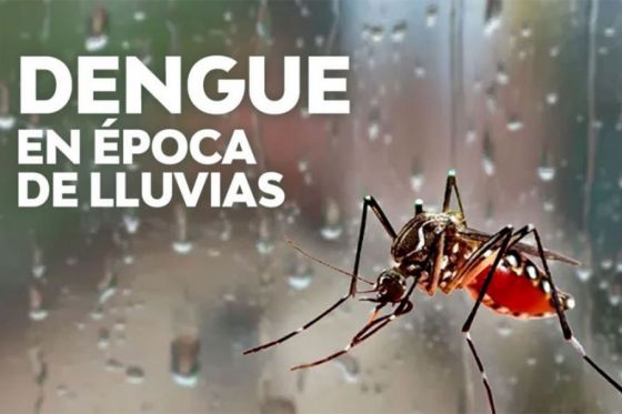 Cuidados para prevenir el dengue, zika y chikungunya en época estival