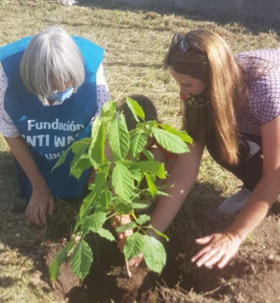 La educación como eje fundamental de la conservación del medio ambiente