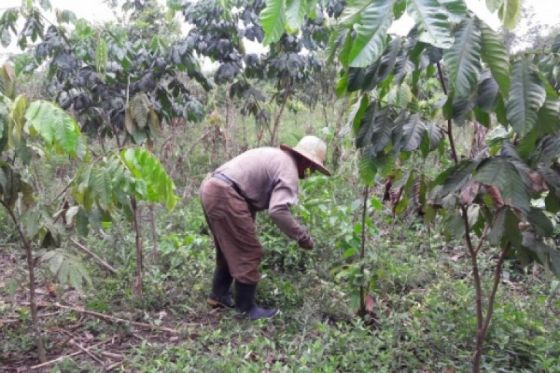 Presentaron un programa piloto de capacitación agroecológica para la comunidad Wichí de Pacará