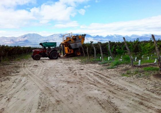 La Secretaría de Trabajo fiscalizó bodegas en los Valles Calchaquíes