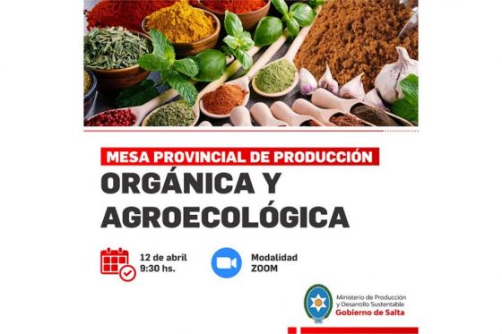 Producción orgánica y agroecológica: Salta es una de las provincias argentinas con mayor diversidad productiva y ambiental