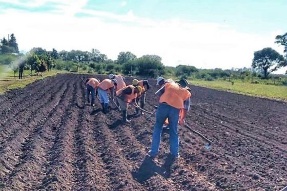 Internos de la Unidad Carcelaria de Metán son capacitados en actividad agrícola