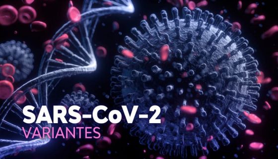 Qué es una variante del virus que produce COVID-19