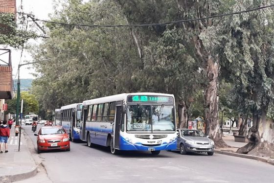 Servicio de transporte de colectivos frente a las medidas dispuestas por el COE