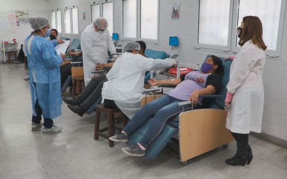 En el Día Mundial del Donante de Sangre alientan a los jóvenes a ser protagonistas