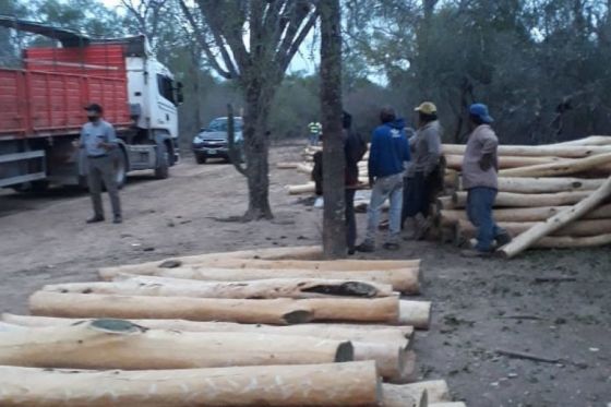 Ambiente y la Policía unifican esfuerzos en la lucha contra el comercio ilegal de Palo Santo