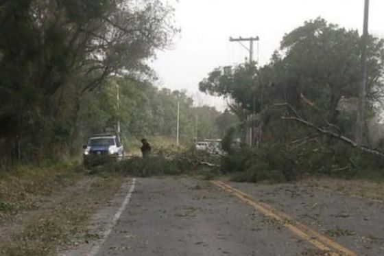 Seguridad brindó  asistencia integral ante el temporal de viento zonda en la provincia