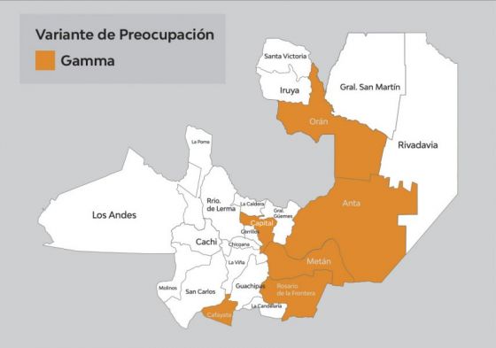 En la provincia hay circulación comunitaria de la variante Manaos