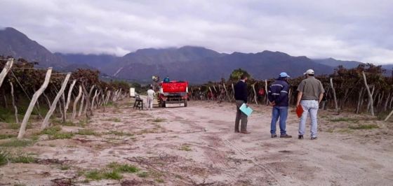 La Secretaría de Trabajo realizó más de 700 inspecciones en materia de higiene y seguridad