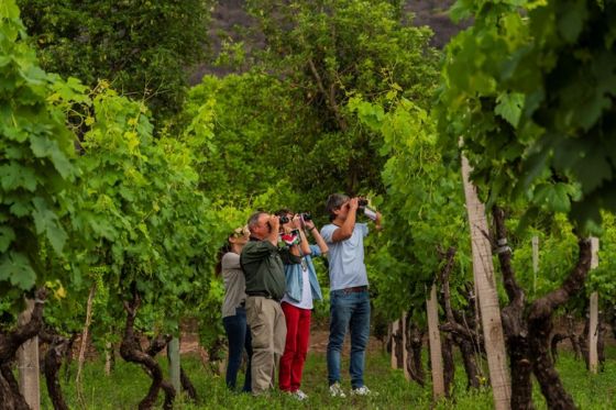 20 mil turistas recorrieron Salta el fin de semana extendido