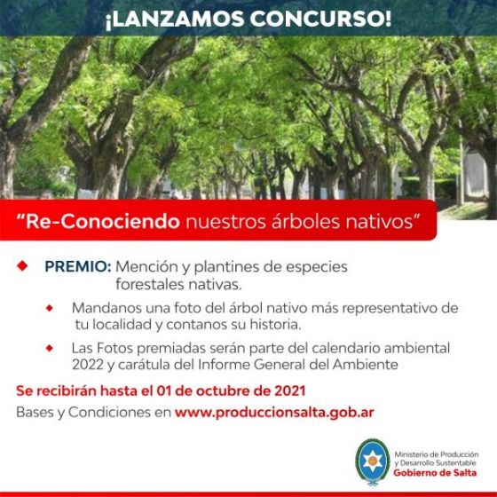 Concurso fotográfico “Re-Conociendo nuestros árboles nativos”