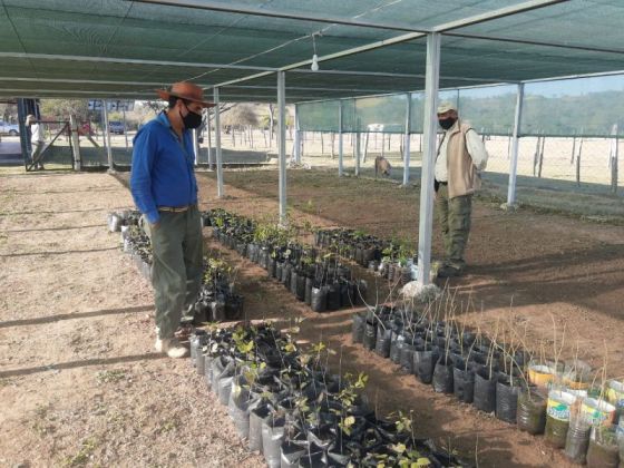 El vivero forestal de Acambuco producirá especies nativas para restaurar bosques degradados