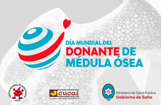 Se conmemora hoy el Día Mundial del Donante de Médula Ósea