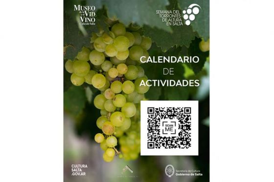 Viví la Semana del Torrontés de Altura con el Museo de la Vid y el Vino