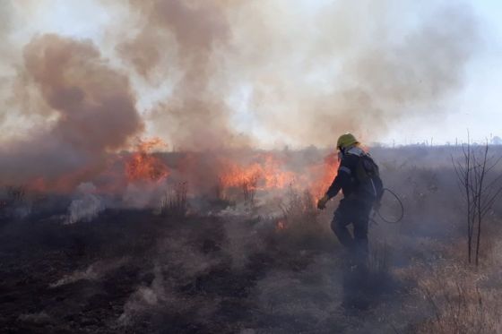 Primer concurso para la prevención de incendios forestales en Salta y Jujuy