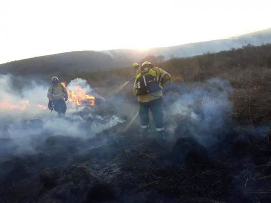 Seguridad realizó operativos en más de 400 incendios forestales en la Provincia